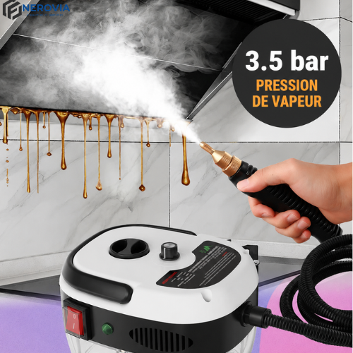Nettoyeur vapeur portable haute température avec embouts multifonctions