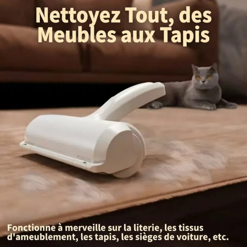 Brosse anti-poils d’Animaux Domestiques réutilisable pour vêtements et meubles