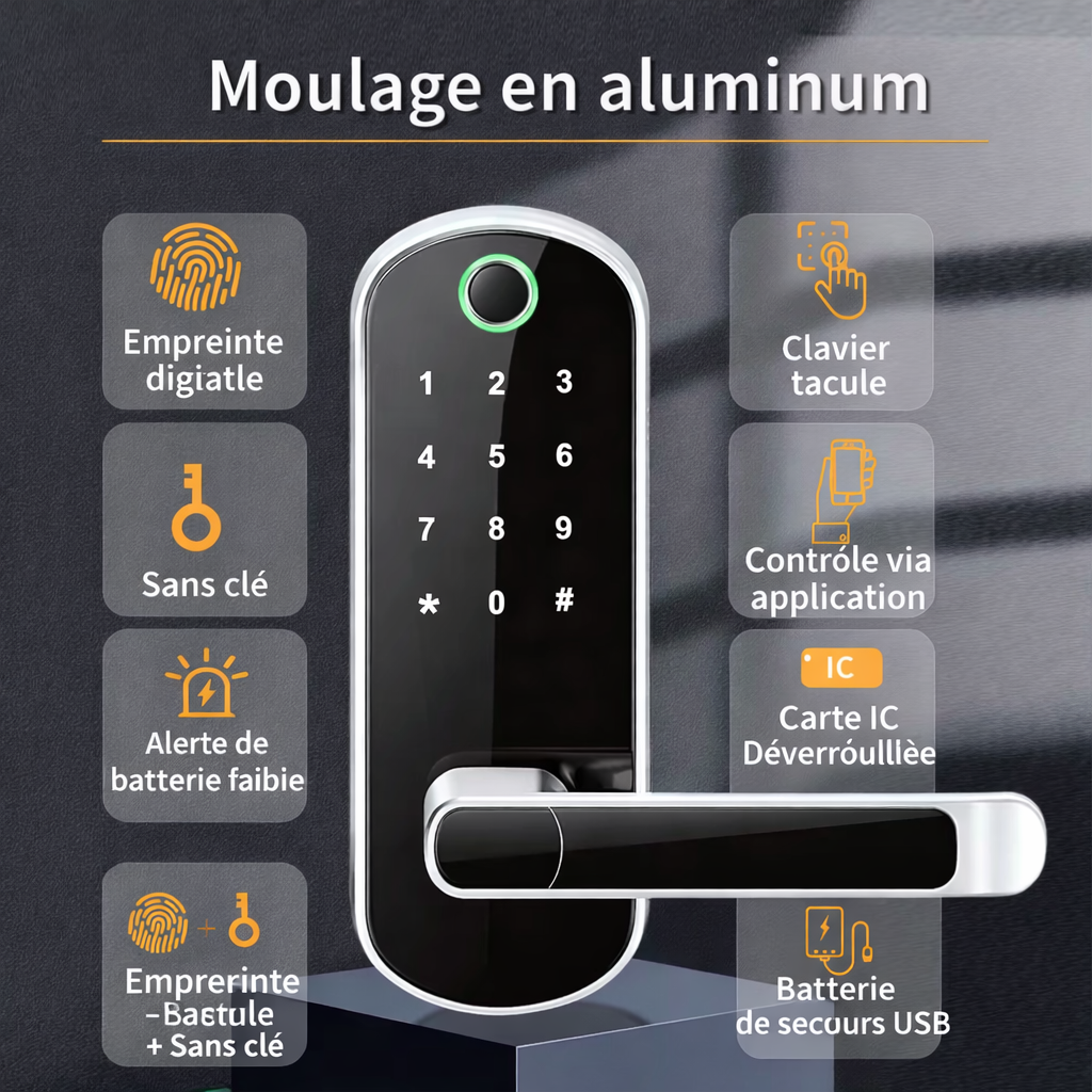 Serrure Connectée Empreinte Digitale WiFi – Clavier Tactile & Application Mobile (IP67)