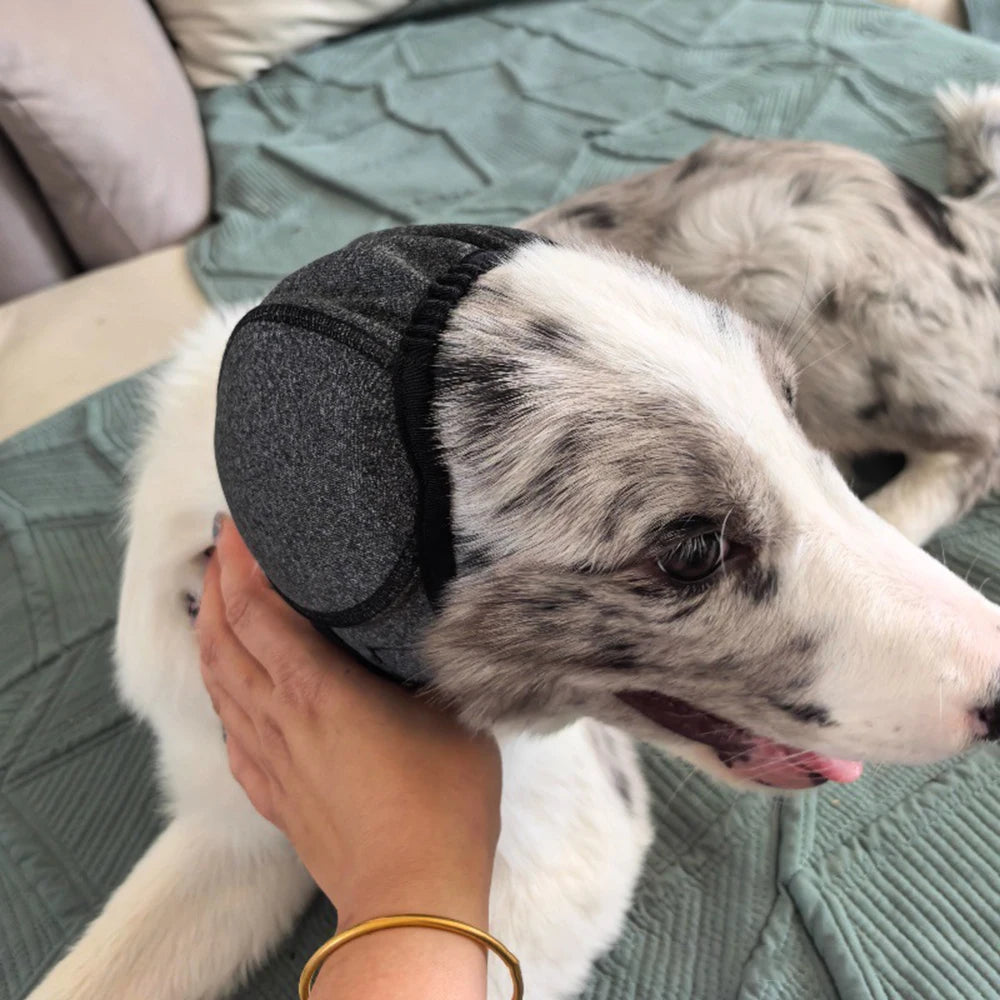 Cache-oreilles apaisant et imperméable pour chien