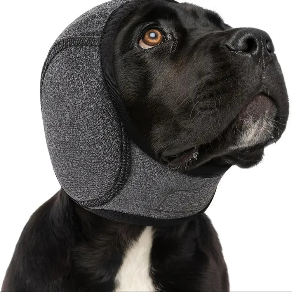 Cache-oreilles apaisant et imperméable pour chien
