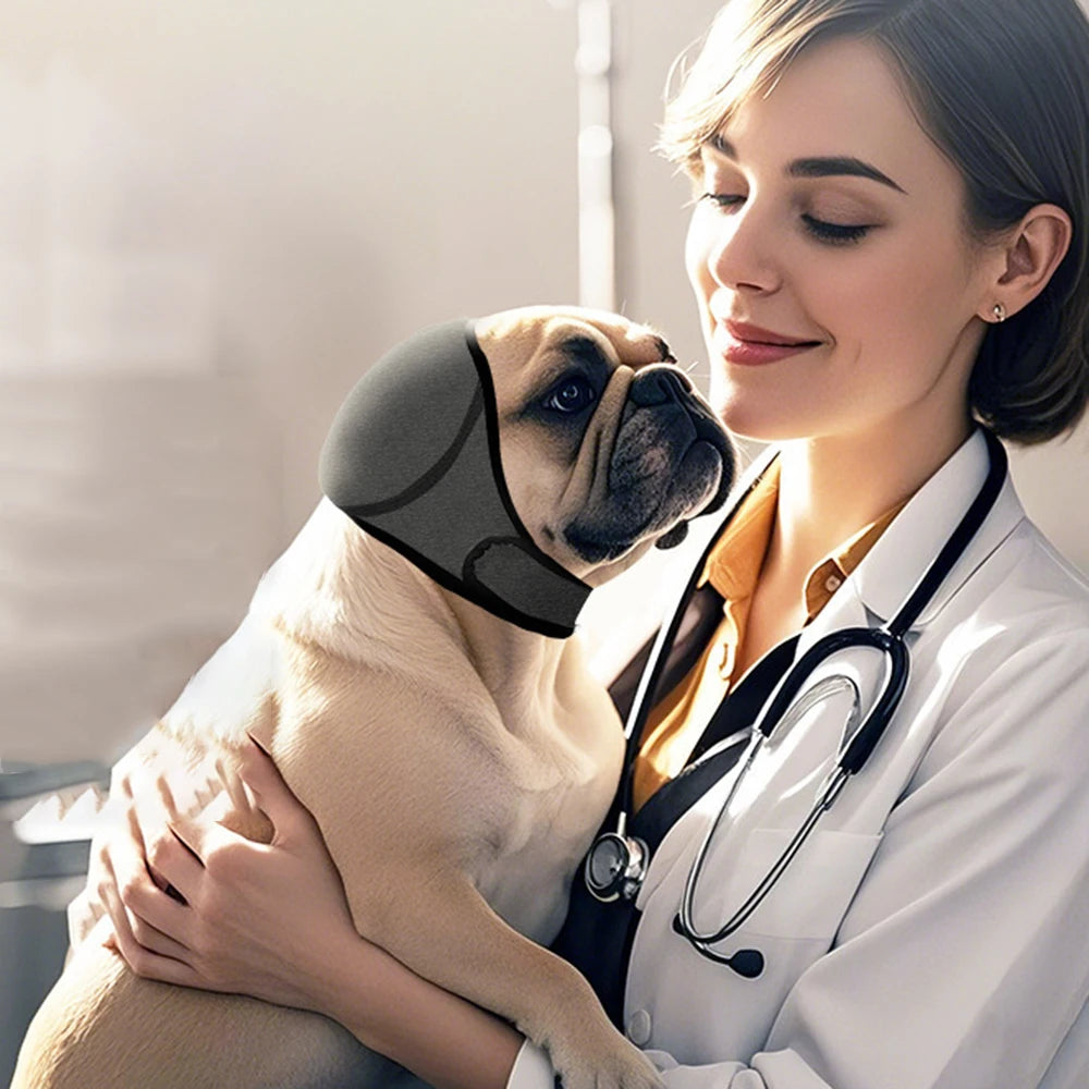 Cache-oreilles apaisant et imperméable pour chien